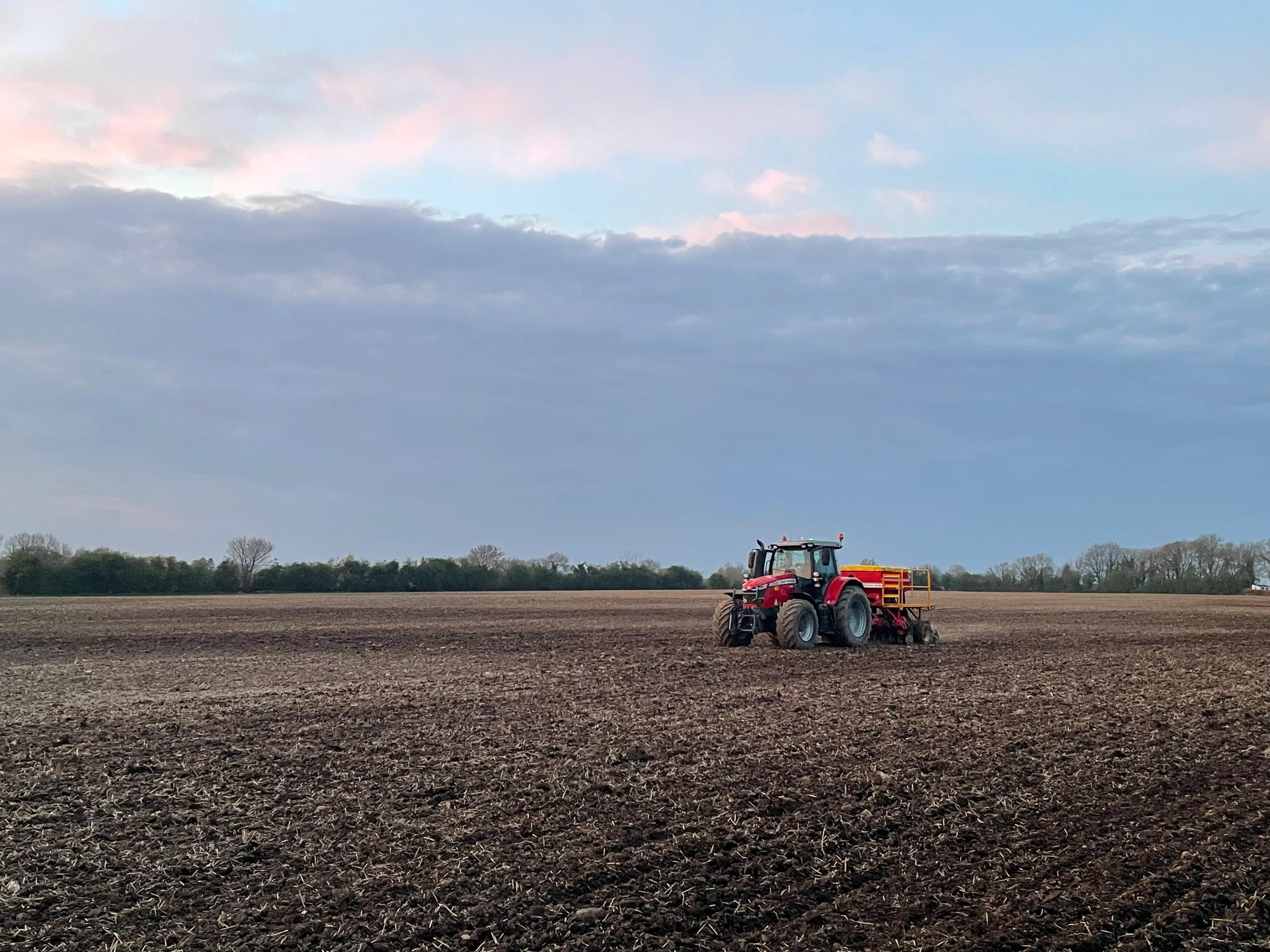 A Massey Ferguson towing a Duncan drill through a field.