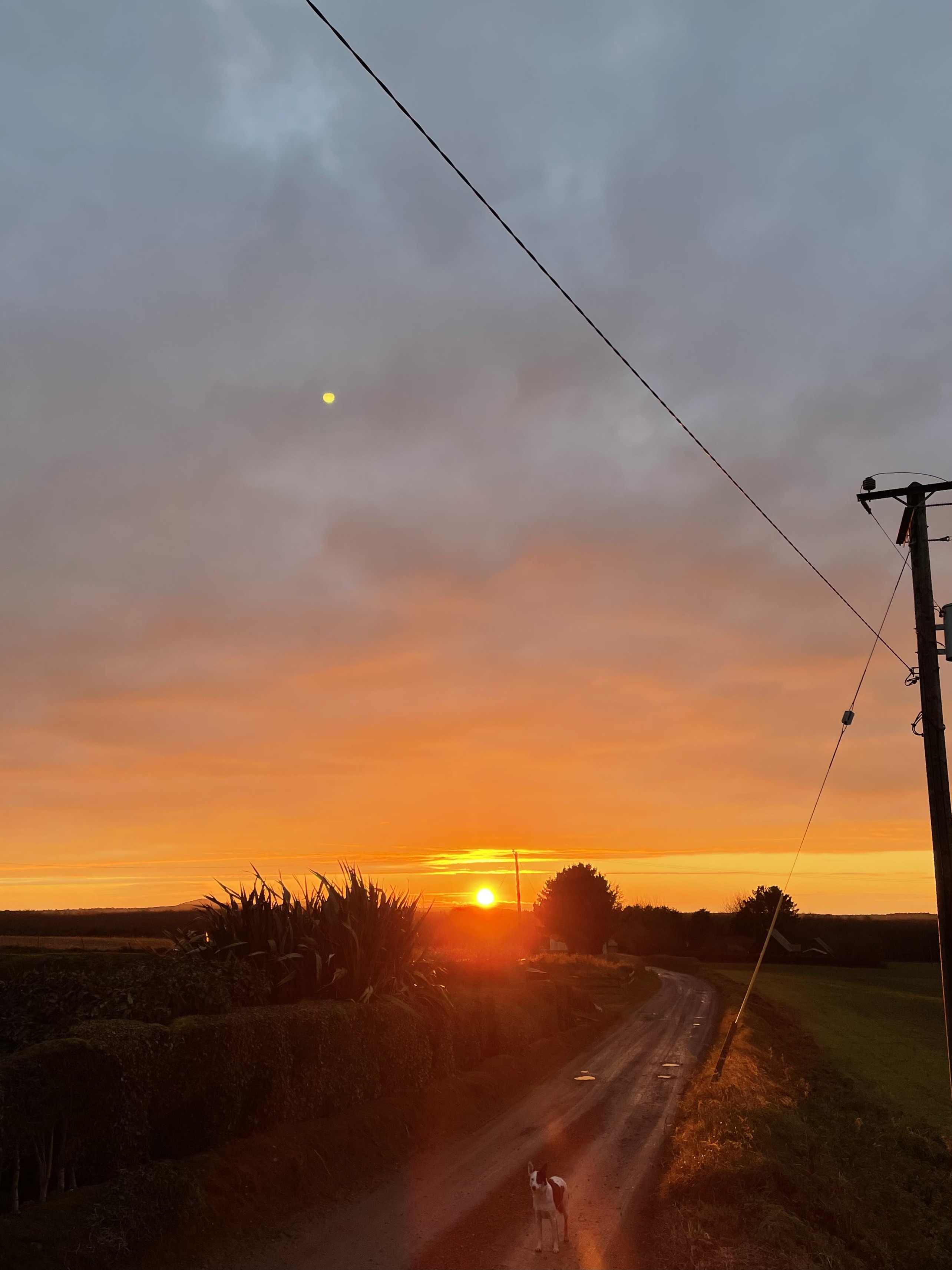 A sunset over Ballinafagh Farm