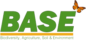 BASE Ireland Logo