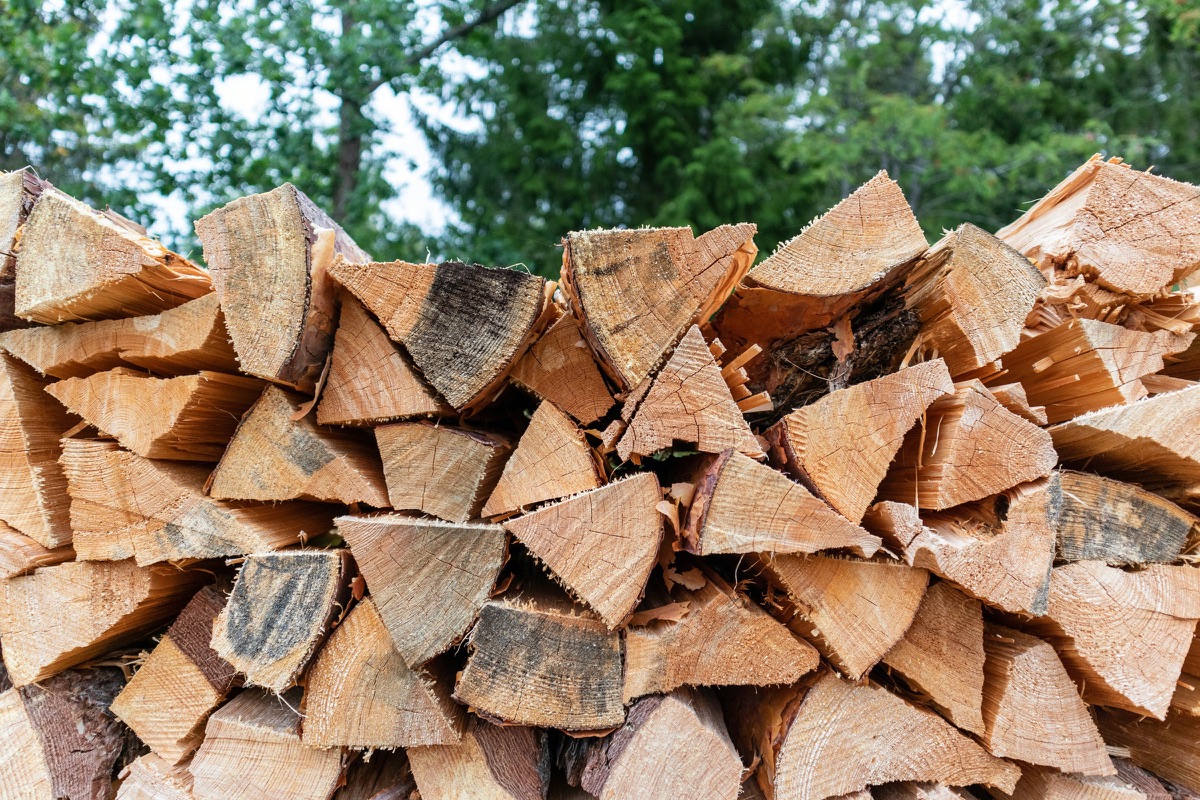 Split firewood stacked in front of the woodland